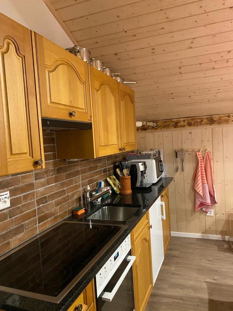 Chalet Baergstaeger Lauterbrunnen Luaran gambar